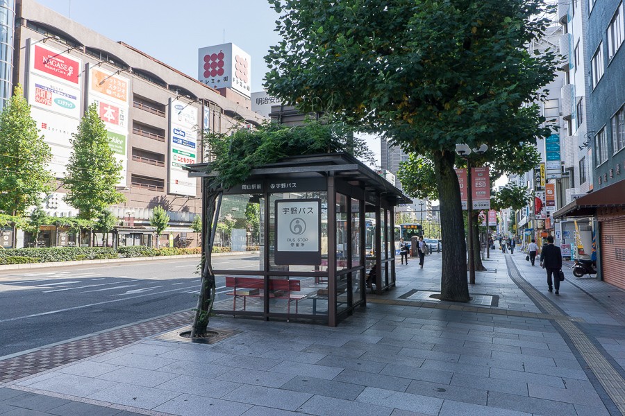 Bus stop with climbing 