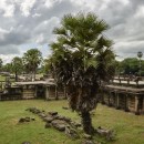 Angkor Wat Royal Road