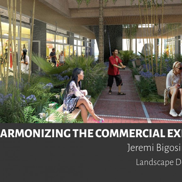 Harmonizing Commercial Experience